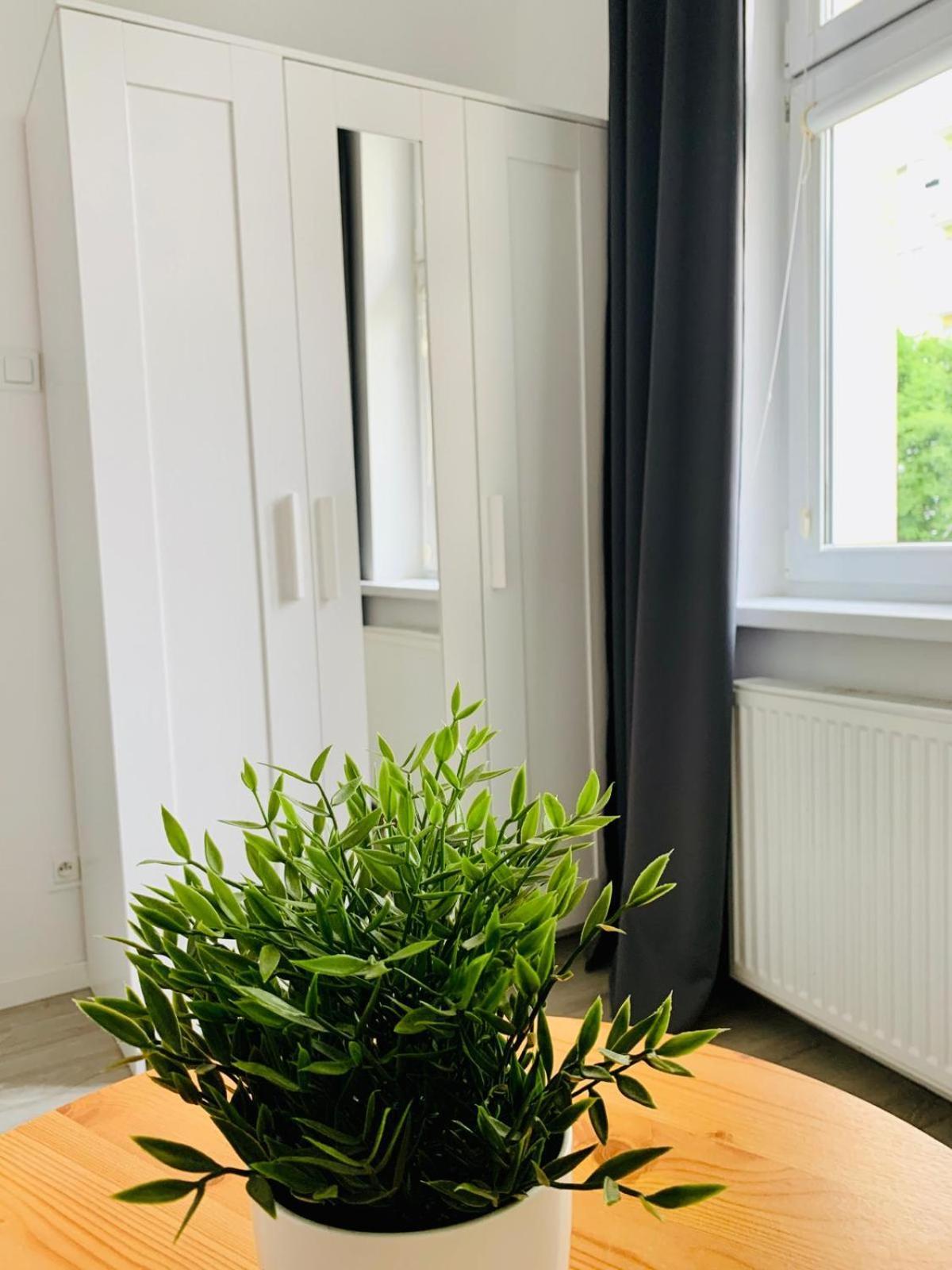 Apartament Fraszka U Kochanowskiego Ac Progres Thorn Exterior foto